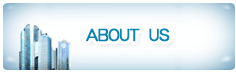 about wb-mold